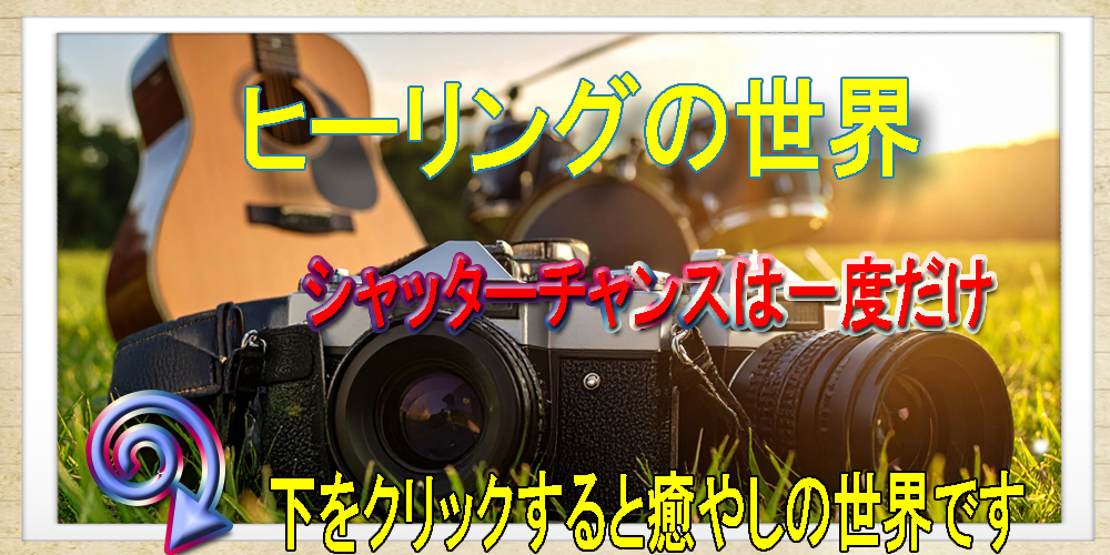 シャッターチャンス